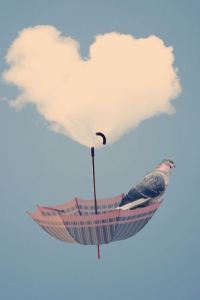 Baoweibeiweixiangrikui 香港君悦酒店優惠