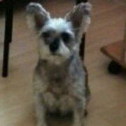 haze14002 イビススタイルズ京都四条 クーポン