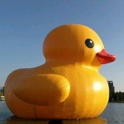 Fengshendeguangmang 中山南朗希爾頓歡朋飯店優惠