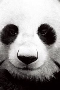 Wushizuonanqiang 廈門佰翔五通飯店優惠