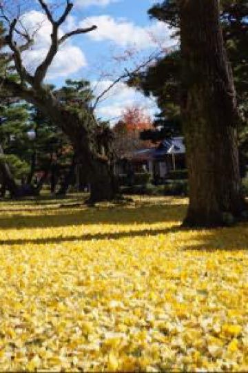 Chuchaxiaoxiaogougou ホテル縁道 クーポン