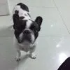 Avatar 1