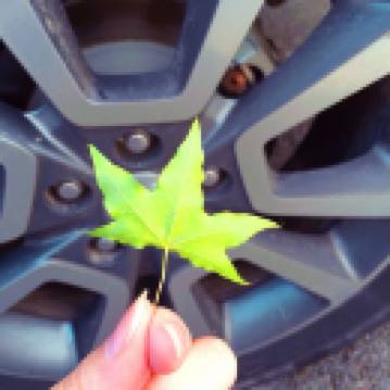 Wawaeraibanzhuomeishiyouzou