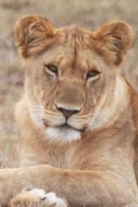 Gerry J 定山渓 鶴雅リゾートスパ 森の謌 クーポン