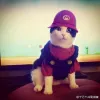 Avatar 1