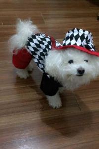 200867**** 上海西郊賓館優惠