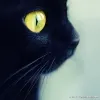 Avatar 2