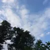 Avatar 3