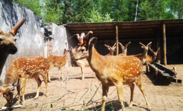 Luyuan Mountain Villa