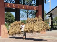 邛崃茶马古道第一村家庭客栈