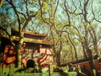 Zhoushan Putuo Mountain Buddha Farmhouse - Farmhouses
