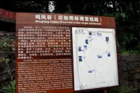 Jianfengling Tianchi Mountain Resort