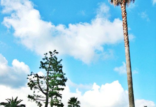 중문통나무펜션 리조트 내부