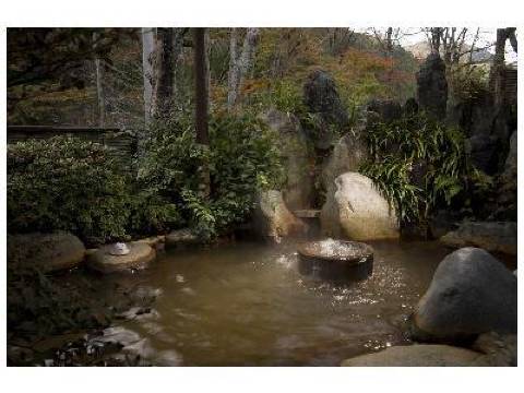 湯屋温泉 炭酸泉の宿 泉岳舘 下呂 宿泊予約 安い料金プラン 口コミ 部屋写真 Trip Com