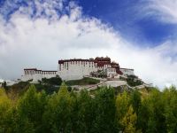 西藏木雅大酒店 - 酒店景观