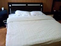 成武南环宾馆 - 标准大床房