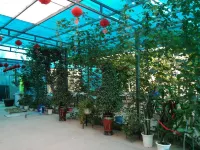 Tongjia Courtyard (Zhongwei Shapotou Scenic Spot)