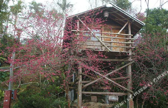嘉義賴坤陽的家木屋民宿
