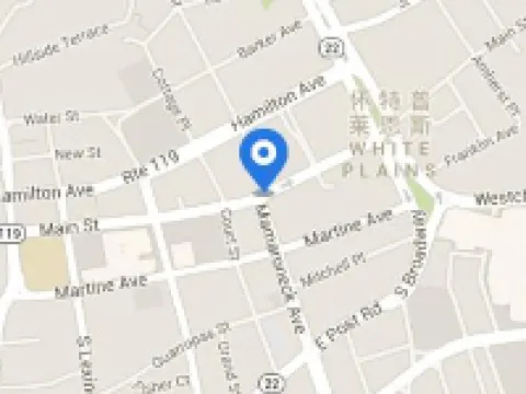 THE OPUS WESTCHESTER, AUTOGRAPH COLLECTION Hotels in White Plains