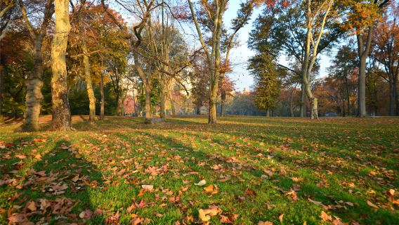 美國紐約大都會藝術博物館+中央公園+古根海姆博物館