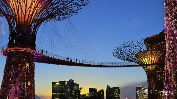 新加坡動物園+牛車水+魚尾獅+甘榜格南+濱海灣+克拉碼頭包車