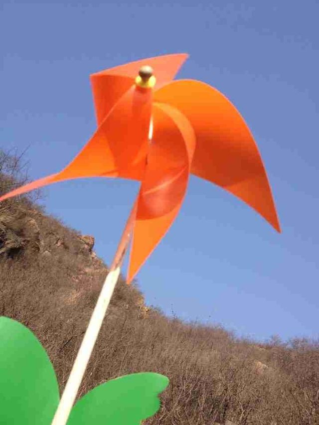 Diaowoyu