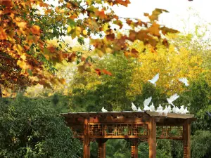 Zhuyuwan Scenic Area