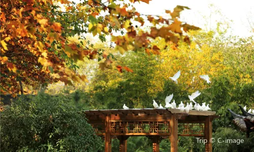 Zhuyuwan Scenic Area