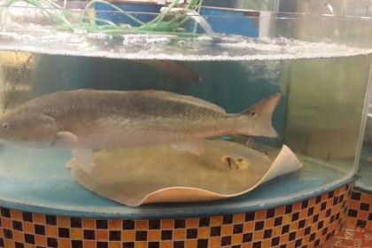 日夜海鲜楼(延达路店)