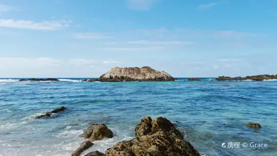 蒙特雷半島+17里灣 一日遊【不超12人精品小團】