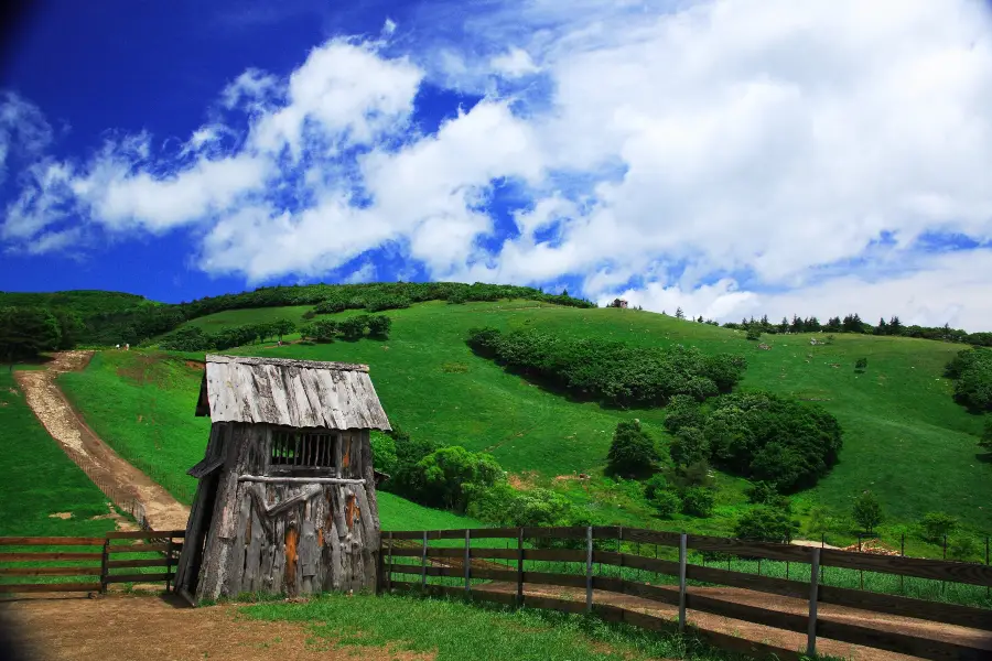 Eco Green Campus [Daegwallyeong Samyang Ranch]