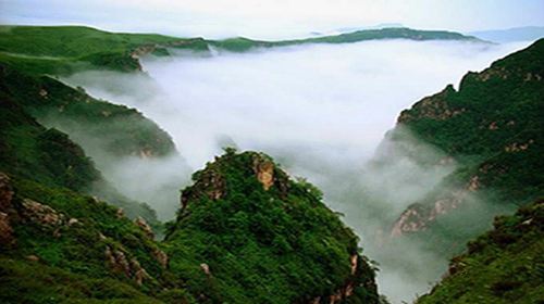 Feihu Valley · Grassland in the Sky