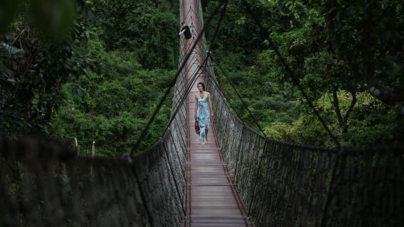 Tropical Paradise Forest Park + Yalong Bay Beach + Sun Bay Road 1-day tour with private transfer service