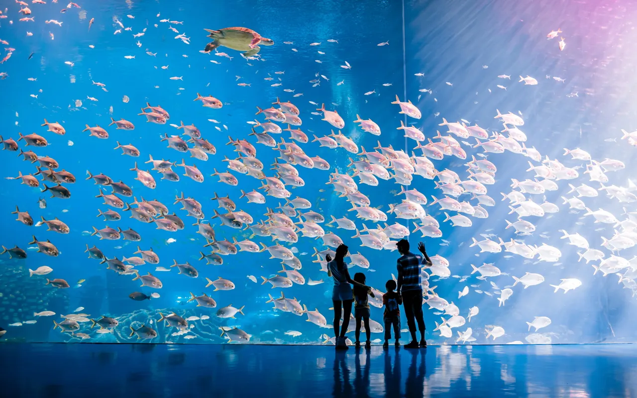 5_Zhuhai Chimelong Ocean Kingdom