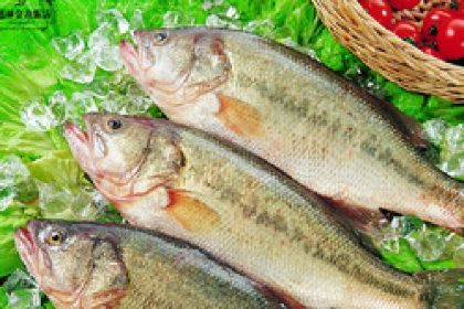 Xiangsilin Golden Island Restaurants