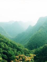 Longtanda Canyon National Forest Park