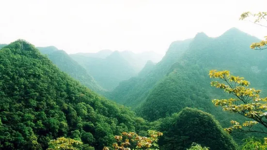 룽탄/용탄 그랜드 캐년 국립삼림공원