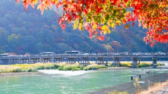 日本京都嵐山+三千院+嵐山嵯峨野觀光小火車一日遊