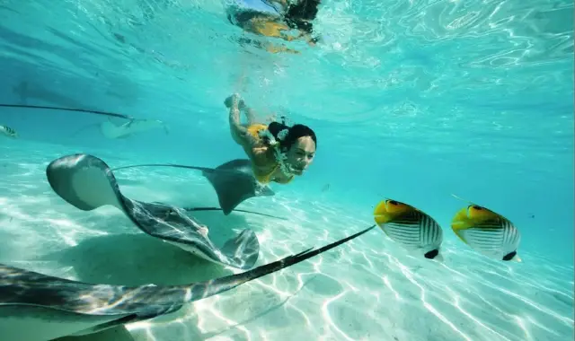 Scuba Diving in Bora Bora