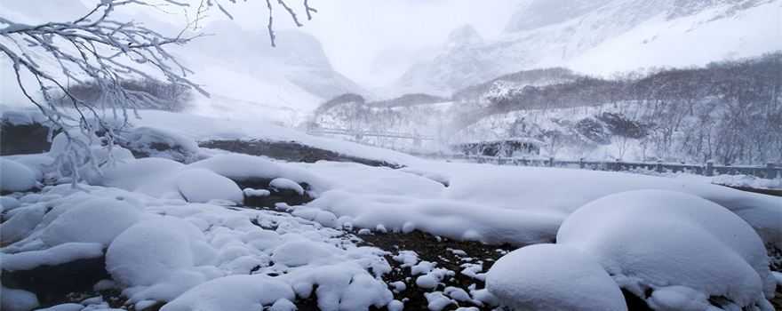North Slope Of Changbai Mountain