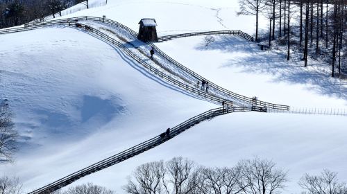 Eco Green Campus [Daegwallyeong Samyang Ranch]