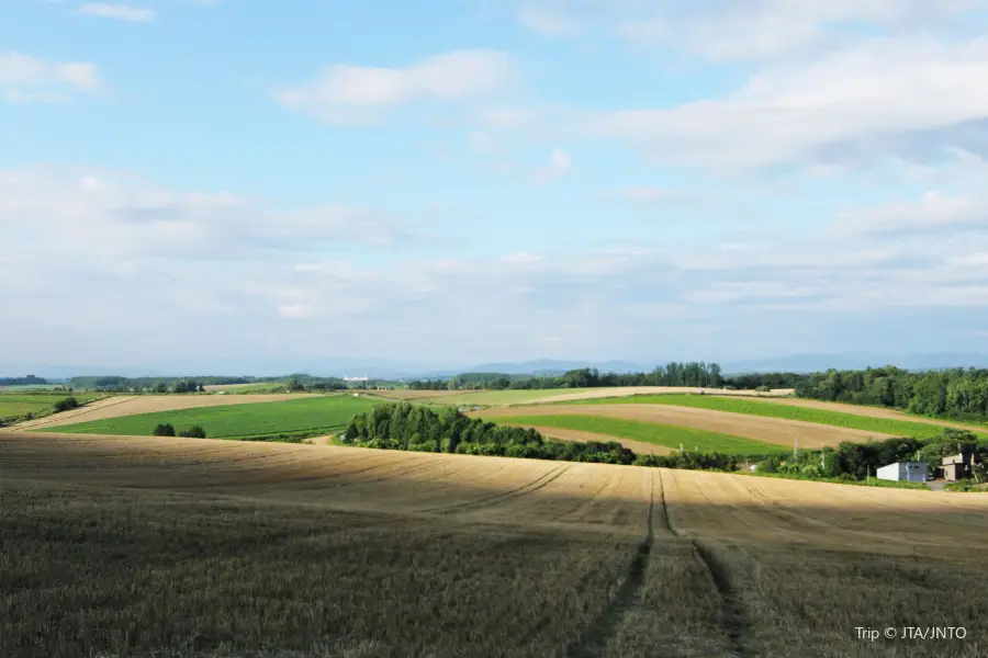 Patchwork Road