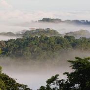 Panama