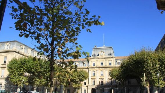 Avignon
