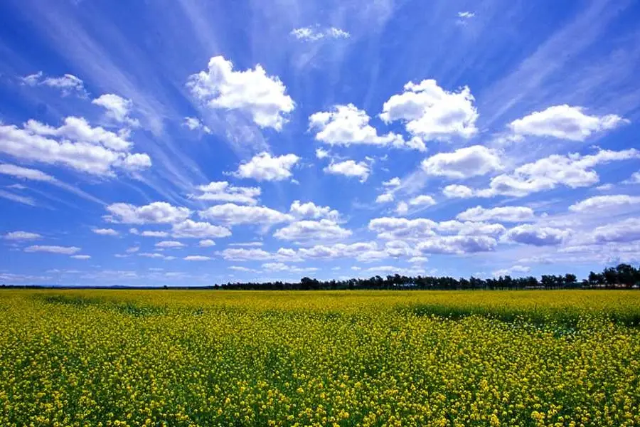 Zhangbei Zhongdu Grasslands