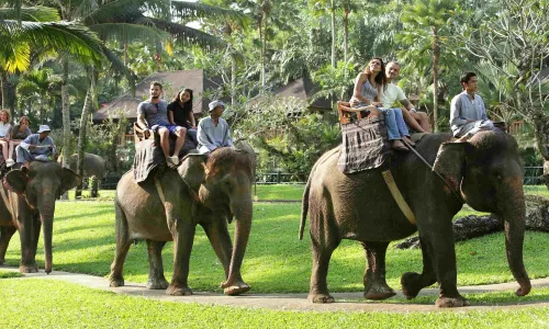 Mason Elephant Park & Lodge