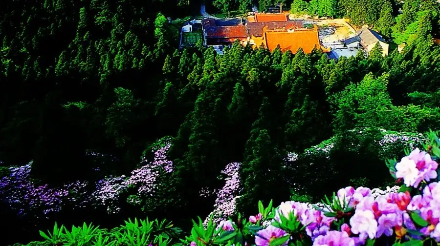 5_Huading National Forest Park