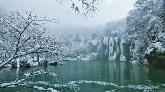 Luyuan Pool