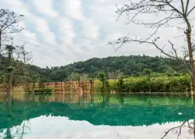 Fushengyu HotSpring Resort