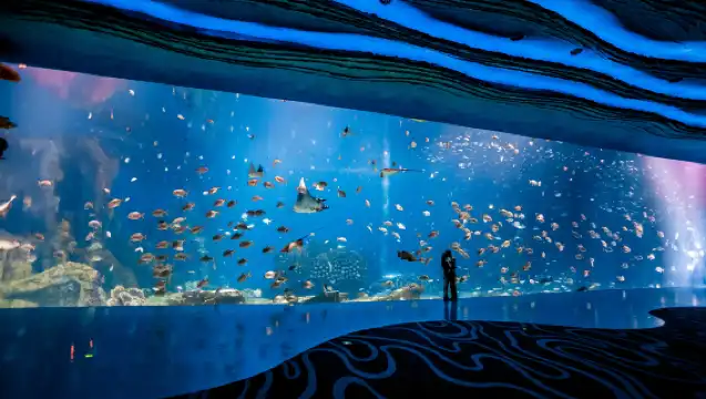 珠海長隆海洋王國導遊講解 歡樂海洋探險 可選私家團